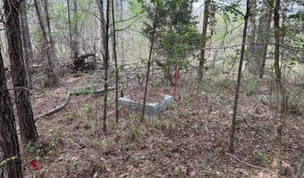 RON THAMES Rd, Arley, AL 35541