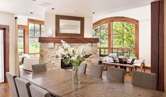 388 Exhibition Ln, Aspen, CO 81611