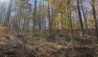 99- C Richmond Hwy, Amherst, VA 24521