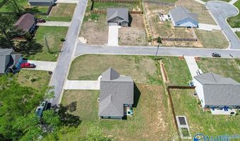 15176 Blendor Crooks, Athens, AL 35611