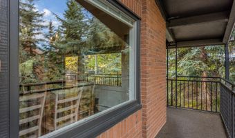 731 S Mill St 3A, Aspen, CO 81611