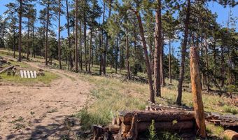 Old Camp Rd, Bellvue, CO 80512