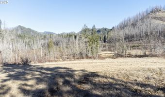91737 BLUE RIVER RESERVOIR Rd, Blue River, OR 97413