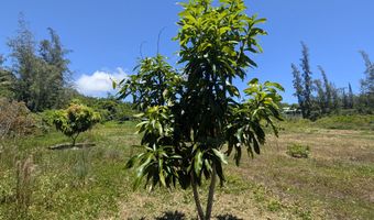 15-920 PARADISE ALA KAI Dr, Keaau, HI 96749