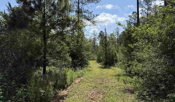 8450 Robinsonville Rd, Atmore, AL 36502