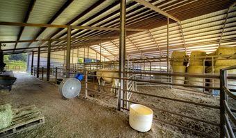 6152 County Road O-527, Ava, MO 65608