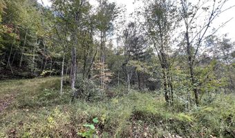 9999 Hooker Branch Rd, Barbourville, KY 40906