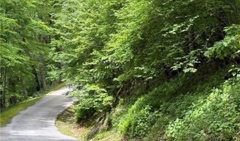 Tbd Wakeman Way, Banner Elk, NC 28604