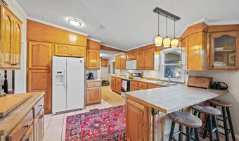 7901 Ashleigh Rd, Blackville, SC 29817