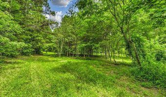 Stone Ridge Drive, Andersonville, TN 37705