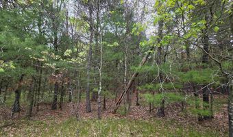 S Badger Lane lot 39, Arkdale, WI 54613