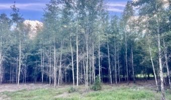 4899 36th St, Bell, FL 32619