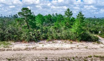 5300 E Devilwood St, Avon Park, FL 33825