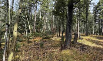 Vermejo Cir lot 15, Angel Fire, NM 87710