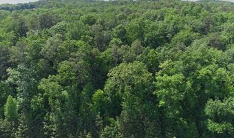 WHITE OAK Pl lot 12-A, Arley, AL 35541