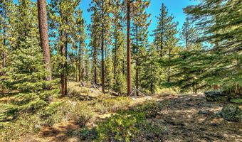 1 Kelly Cir, Glenbrook, NV 89413