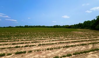 Rocky Creek Road, Ashford, AL 36312