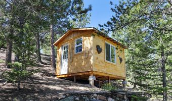 256 Fisk Fenner Rd, Allenspark, CO 80510