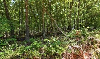 210 County Road 320, Alton, MO 65606