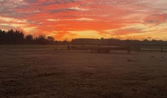 1243 Silcox Rd, Ashford, AL 36312