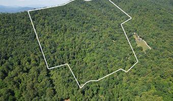 281 Scotts Branch Rd, Amherst, VA 24521