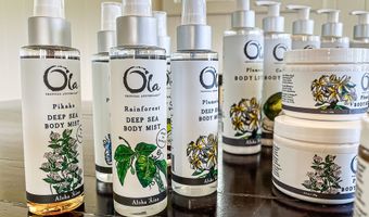 195 WAIKAHE Rd, Hilo, HI 96720