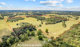 21194 Lawrence 2230, Aurora, MO 65605