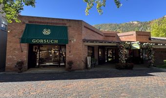 419 E Cooper Ave, Aspen, CO 81611