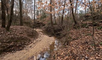 Saint John Road, Braxton, MS 39044