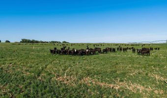 885 Th Rd, Bassett, NE 68714