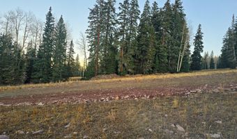 289 N Summit Dr, Beaver, UT 84713