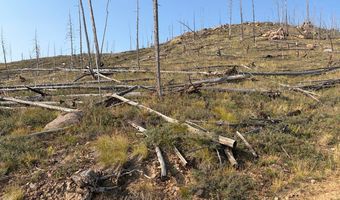 Pine Acres Rd, Bellvue, CO 80512
