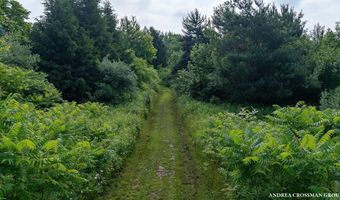 9325 S CEDAR Dr, Allendale, MI 49401
