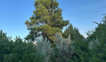 9 CHAMISA, Castle Valley, UT 84532