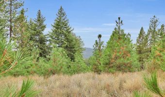 1571 Stone, Blanchard, ID 83804