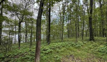 Tract 1 East Bay Road, Atkins, AR 72823