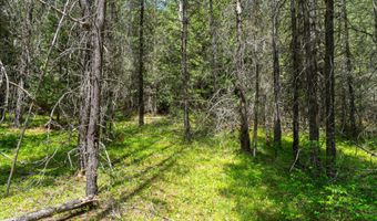 Nna Moyie River Rd, Bonners Ferry, ID 83805
