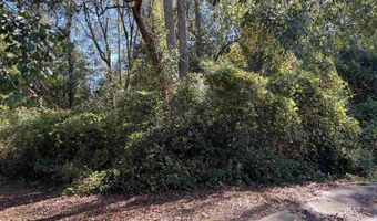 Berman St lot 11 1/2 & 12, Andalusia, AL 36421