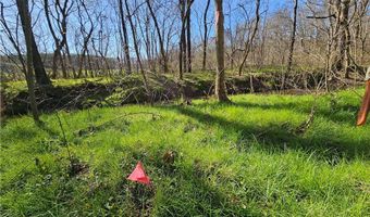 13 Acres Pridesville Rd, Amelia, VA 23002