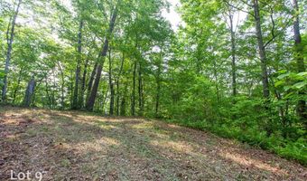 1200 Tobacco Branch Rd, Almond, NC 28702
