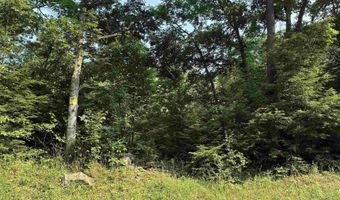 Woolen Mills Road lot B, Albright, WV 26519