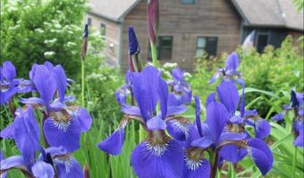 291 Sweet Rd, Cambridge, VT 05444