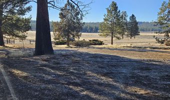 31747 Godowa Springs Rd, Beatty, OR 97621