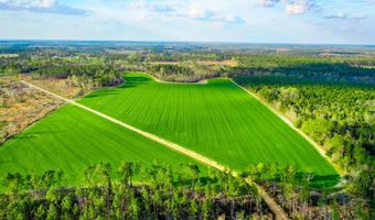 Beaufort Rd. & Warnock Rd, Alma, GA 31510