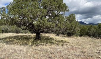 415 XYZ, Arenas Valley, NM 88022