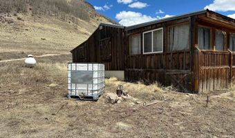 4100 USFS Road 515 Hermit Lakes #180, Creede, CO 81130