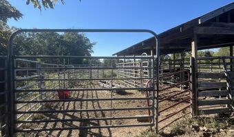 County Road 113, Alton, MO 65606