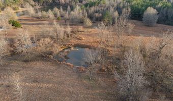 206 E Palmer St, Blue Mountain, MS 38610