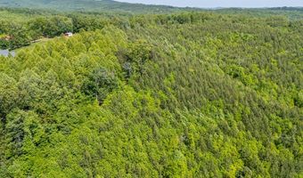 Ahart Ridge Rd lot 58 60 61, Ararat, VA 24053