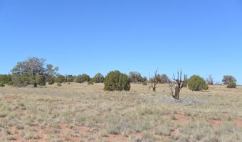 9234 N And 9218 Red Riv, Concho, AZ 85924